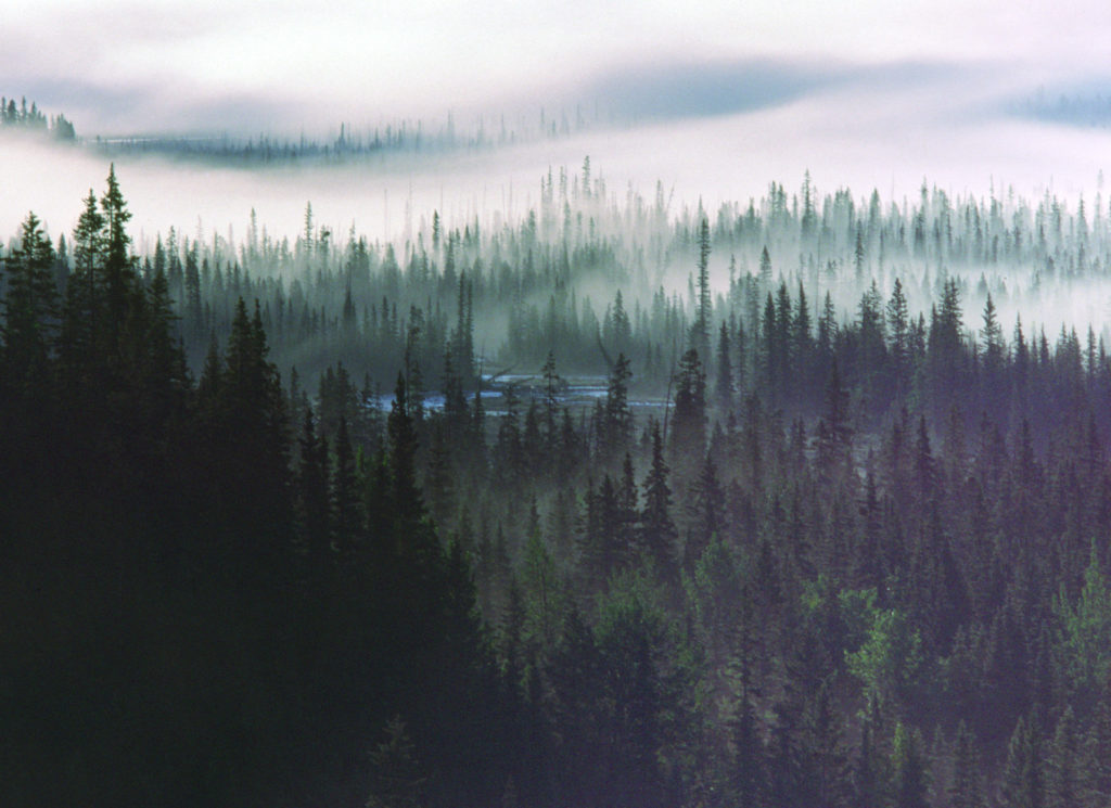 Glacier River Valley © Anthony Neilson