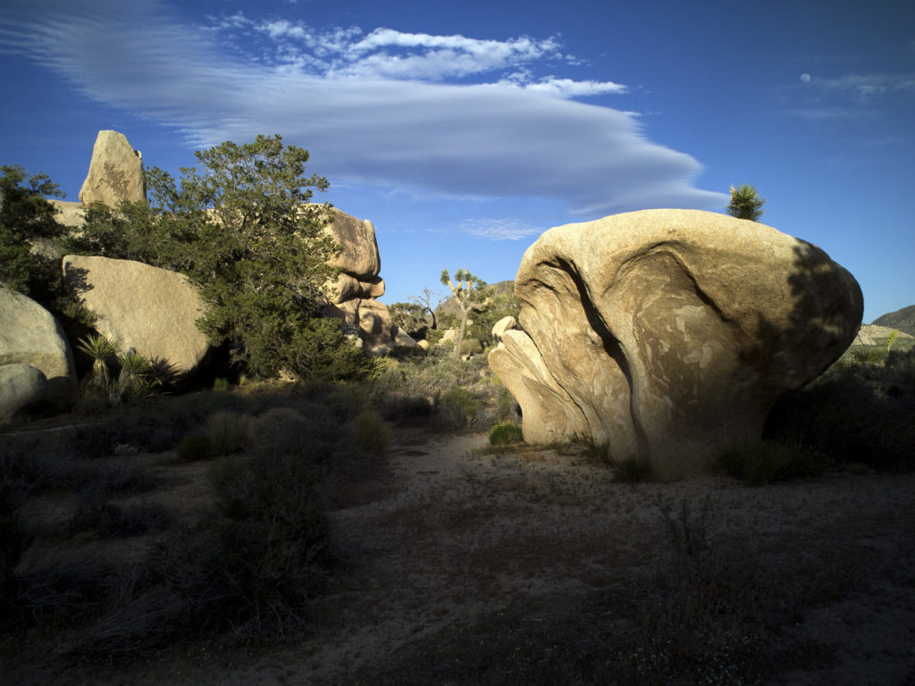 Desert Moonrise © Anthony Neilson