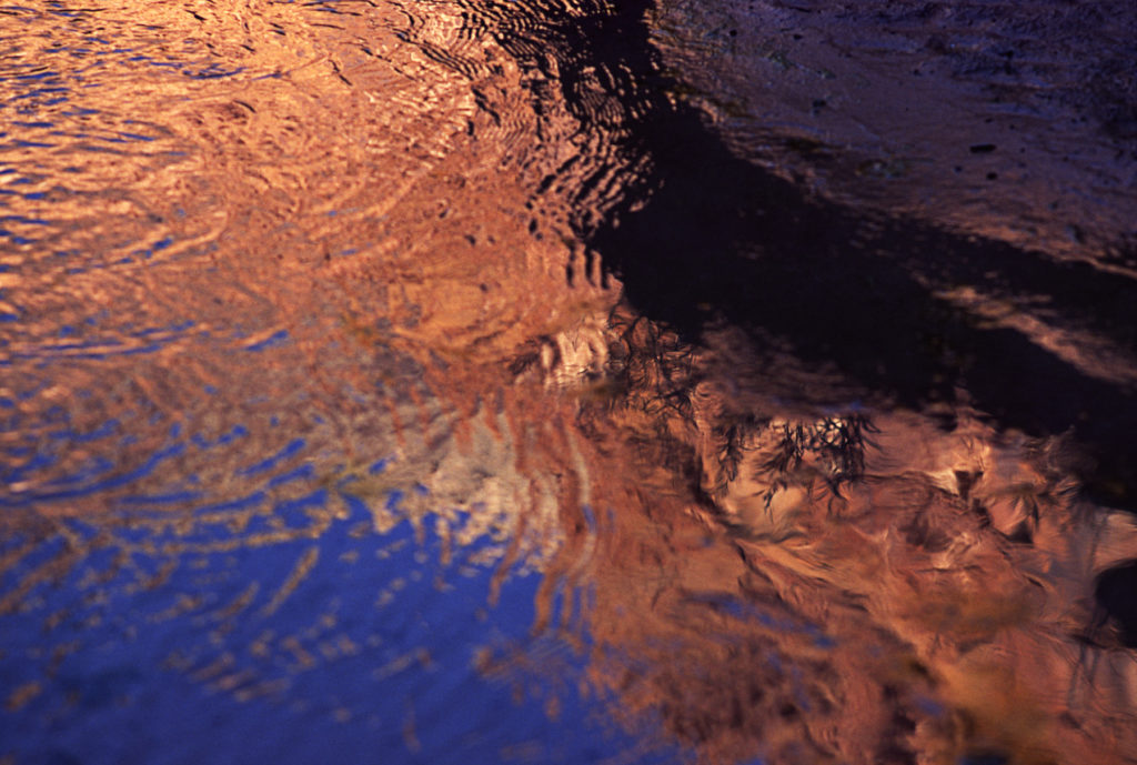 Reflections © Anthony Neilson